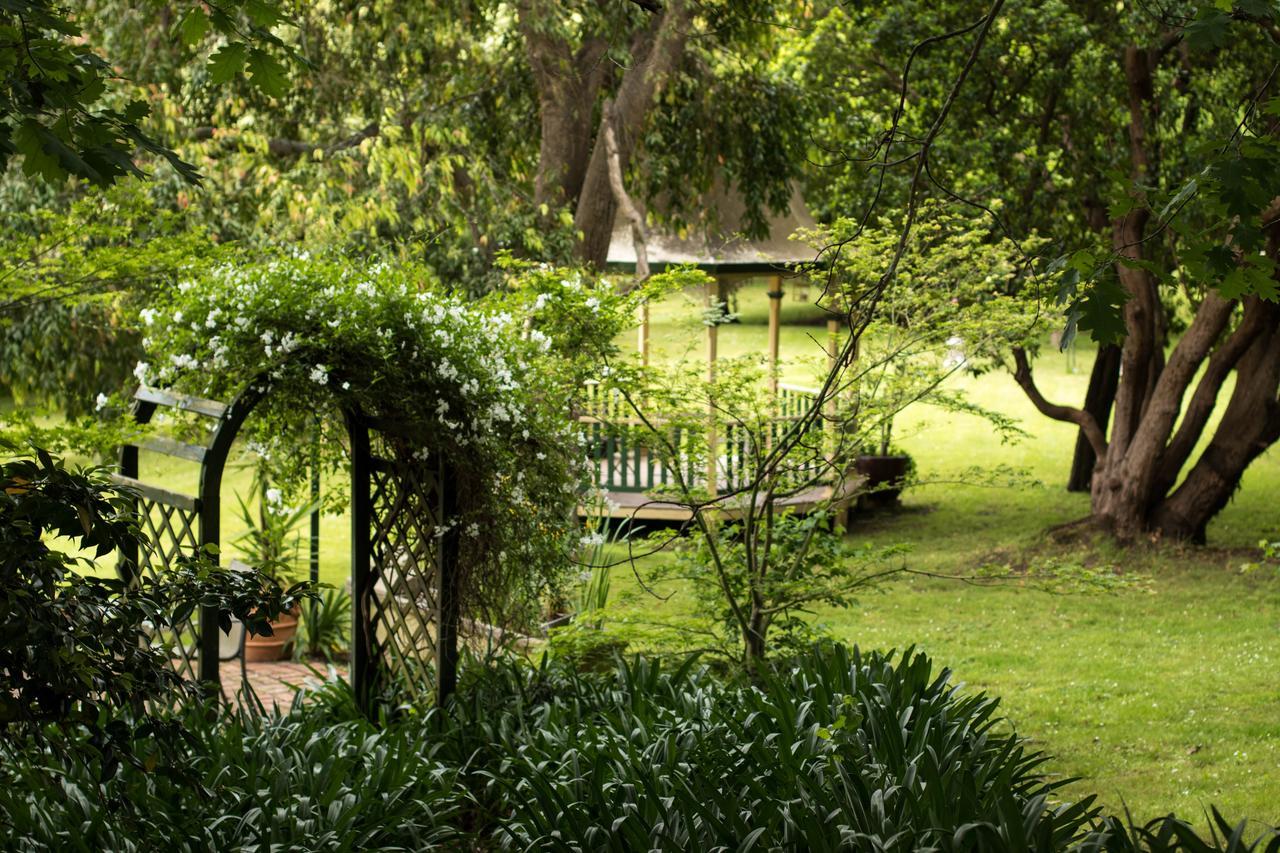 Burnbank Bed & Breakfast Berwick Dış mekan fotoğraf